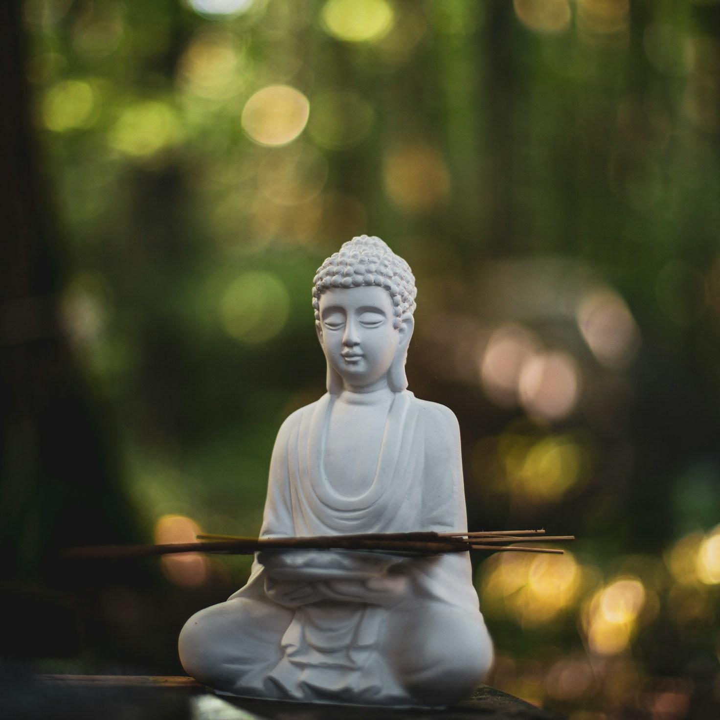 Meditation practice space with cushions arranged in circle